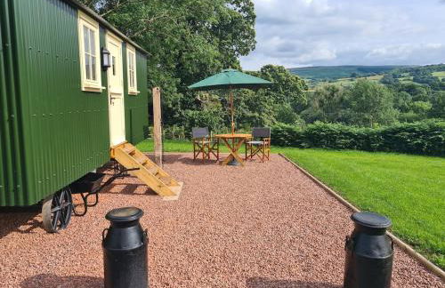 Shepherd's Hut in heart of the Brecon Beacons - Photo 34