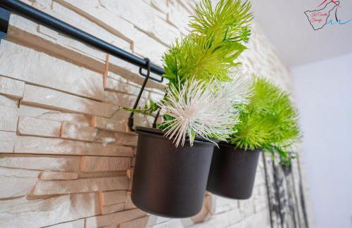 Ke Casetta Tenerife Maya apartment - Foto 11