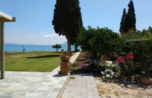 Villa Maria - Photo 40