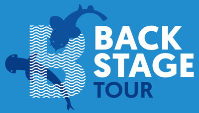 EXPERIENCIAS OCEANOGRÀFIC - Foto 2