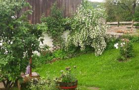 Apartman Jozefina - Foto 19