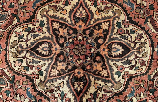 Domaine du Bosc Roger - Foto 24