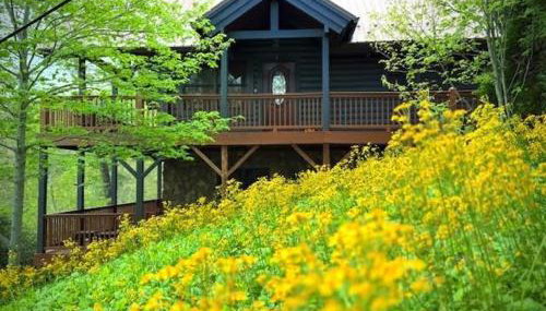 The Heartwood - Foto 2