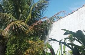 Casa Temporada Bertioga- Indáia - Foto 78