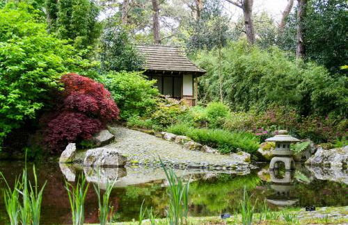 Pinetum Garden Cottages - Foto 24