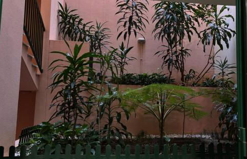 Vista Praia Apartment - Foto 23