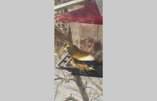 Crash Pad Bed and Breakfast - Foto 57