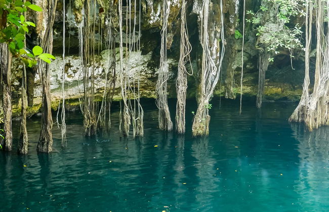 Cenote Yokdzonot Ticket - Foto 7