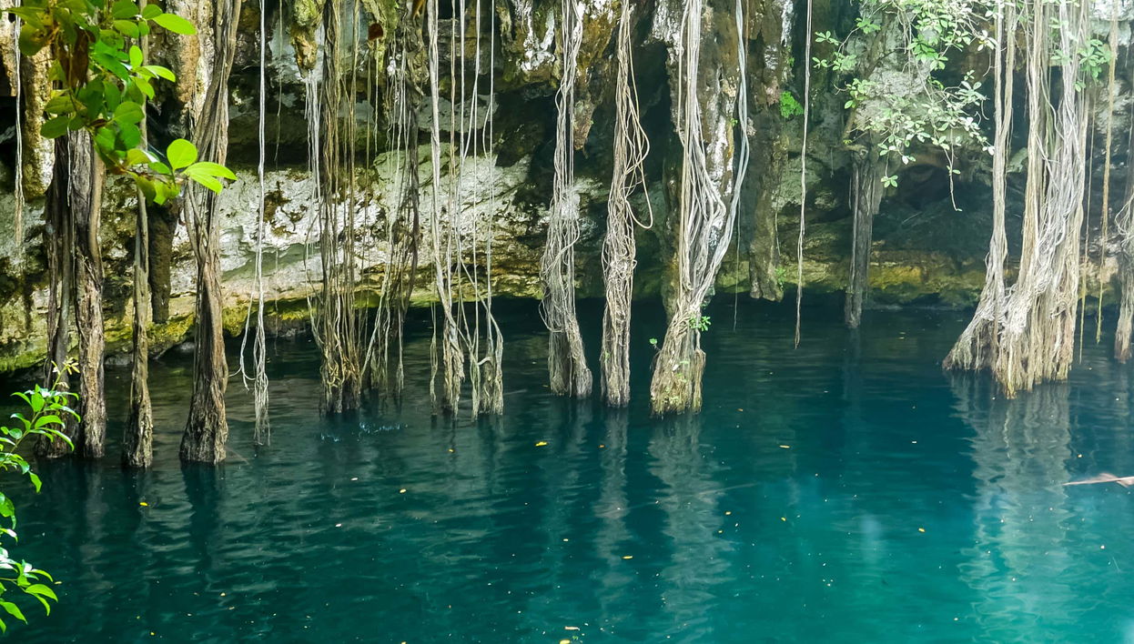 Cenote Yokdzonot Ticket - Foto 1