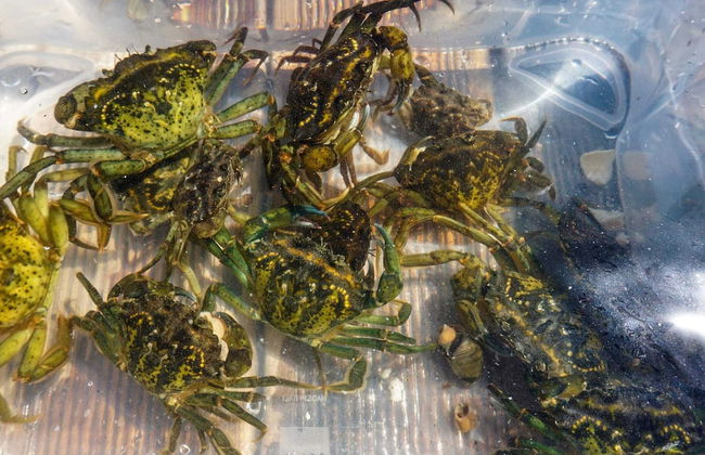 4 Person Holiday Home in FotÃ¶, VÃ¤stra GÃ¶taland - Photo 5