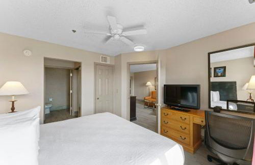 Metro Scottsdale Promo 1 bd 1 - Foto 28