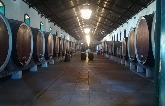 Private Tour Sintra mit Weinproben - Foto 9