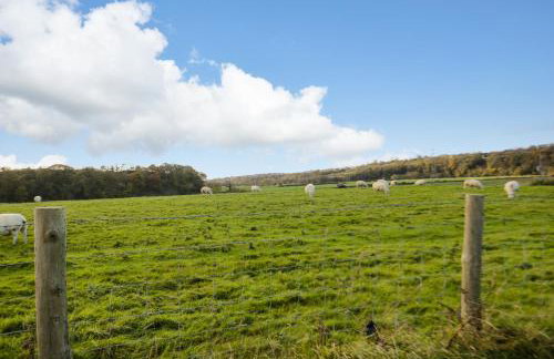 Camerton Hall Cottage - Foto 22