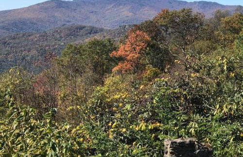 Elkstone Panoramic Views from Blowing Rock to Grandfather - Foto 37