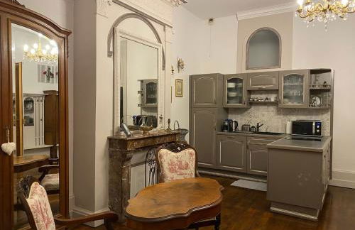 Châtel Rose - Historical Centre with Garden - Foto 8