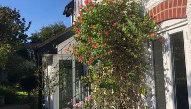 Ramblers, Burley, New Forest - Foto 2, Garden, Garden view