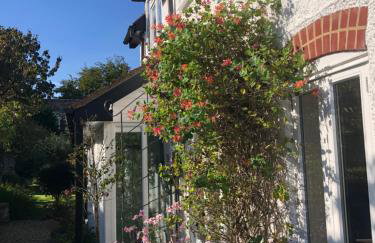 Ramblers, Burley, New Forest - Photo 2