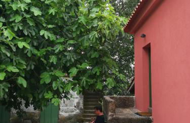 Quinta do Santinho - Foto 11