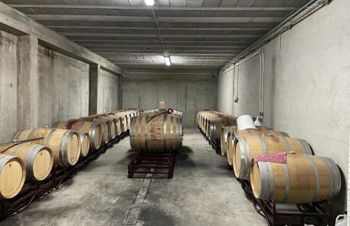 Quinta da Penada - Vineyard & Winery - Suíte 3 - Foto 21