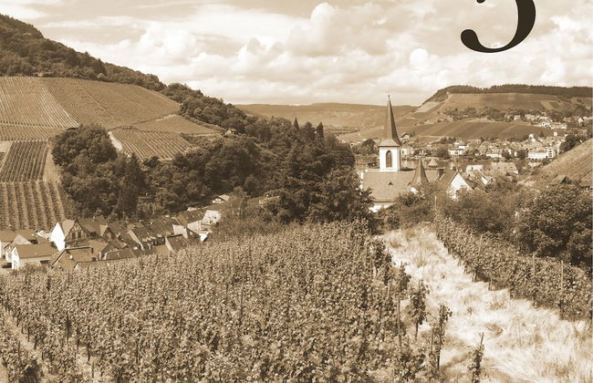 Alte Schmiede zu Trarbach - Foto 8