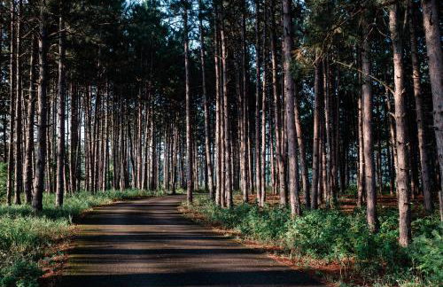 Sorellina House - Foto 63