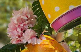 Happy Studio - Foto 33