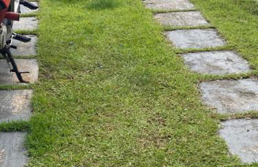 Apartamento para Cop30 - Photo 8