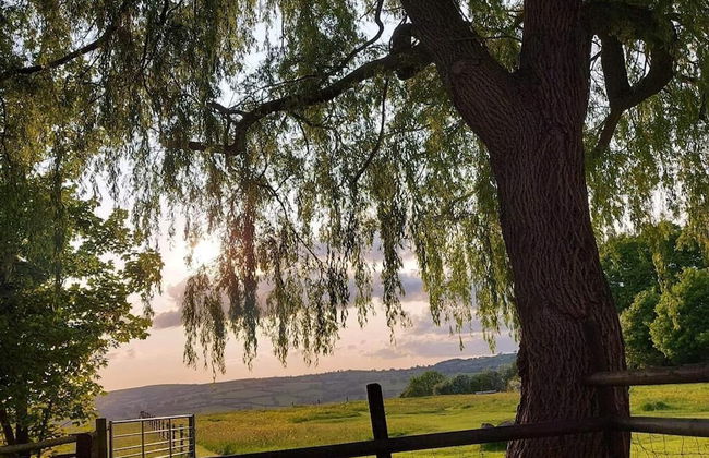 Willow Spacious Self Catering Near Hay on Wye - Photo 13