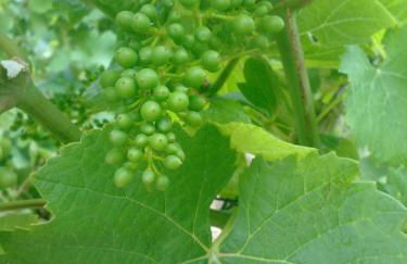 CHEZ MARGARET - Foto 22