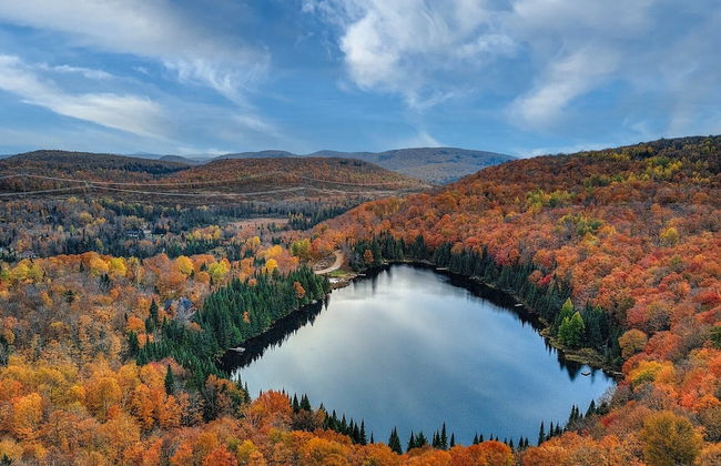 Chalet supérieur Le Mont-calm - Foto 41