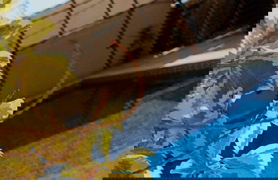 Lacasa chalet panoramic view to dead sea - Foto 22