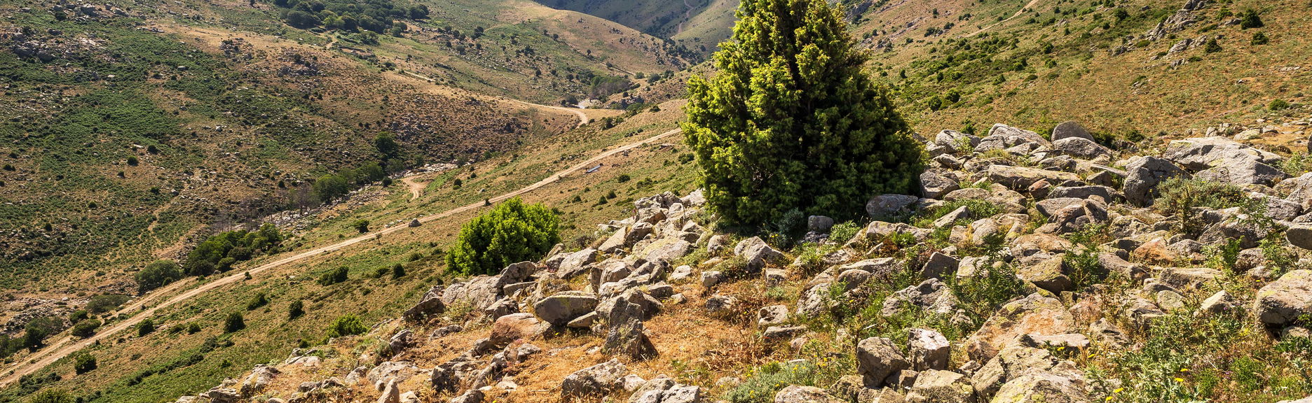 Safari in Jeep nel Parco Nazionale del Gennargentu