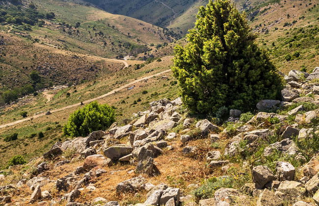 Safari in Jeep nel Parco Nazionale del Gennargentu - Foto 1