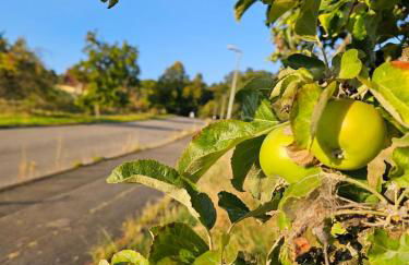 Apartment am Waldrand mit Einzelgarage, Nähe City, Messe & Flughafen - Foto 9