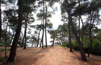 Apartment Ama - first floor - Photo 36