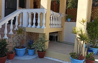 Dimitris House Petriti - Photo 7
