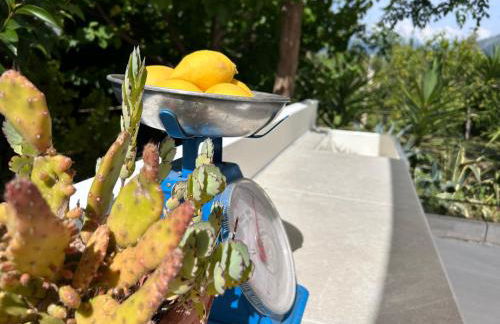 87029house - Photo 27