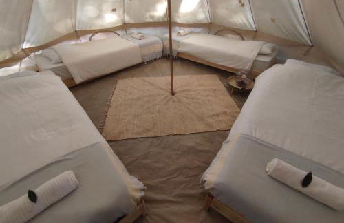 Associação Quinta das Relvas - Foto 101