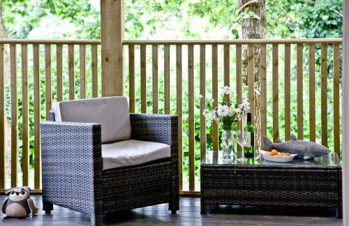 Cedar Lodge, South View Lodges, Exeter - Foto 34