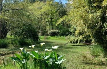 Maison Bel Air - Foto 30