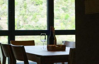 Ribeira Sacra a Orilla Rio Miño Casas do Pincelo - Foto 37