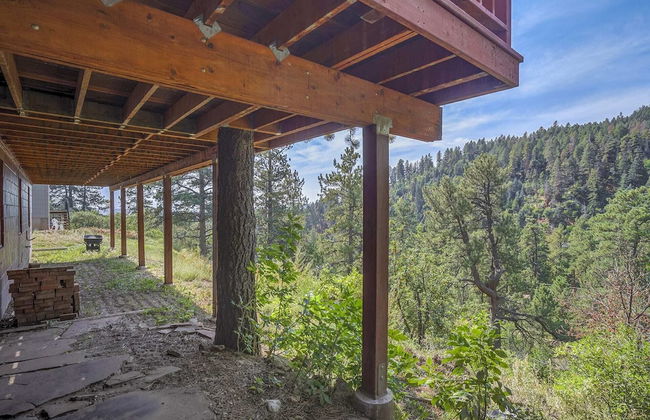 4BD Palmer Lake Mountain Getaway & Local Attractions - Foto 34