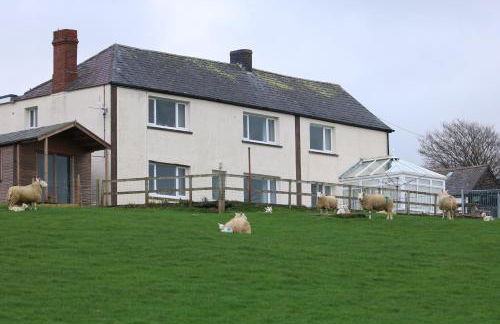 Cob Cottage - Photo 5