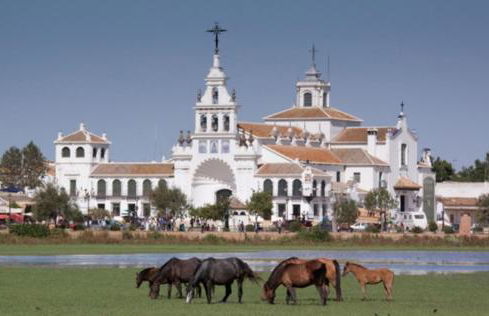 Apartamento Ana Maria - Foto 48