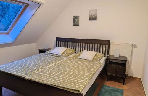 Ferienwohnungen Stellerbruch - Foto 16