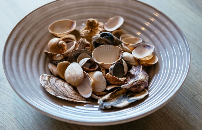 Apartment in St-idesbald Near the Sea - Foto 16