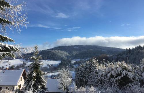 Cerla Korbielów - Domek dla Dwojga - Foto 27