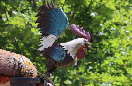 Haus Heimburg - Foto 7