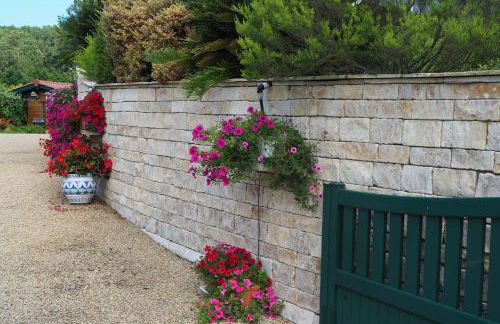 gure xokoa - Foto 17