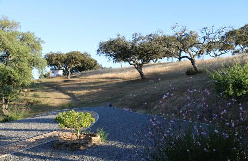Monte Novo da Sobreira, rust en ruimte in zuid Alentejo - Foto 12